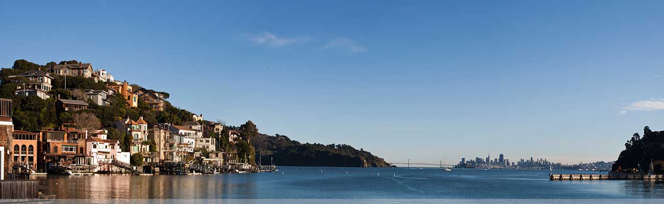 Photo of richmond bridge in distance